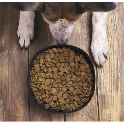 Товары для животных Товары для животных