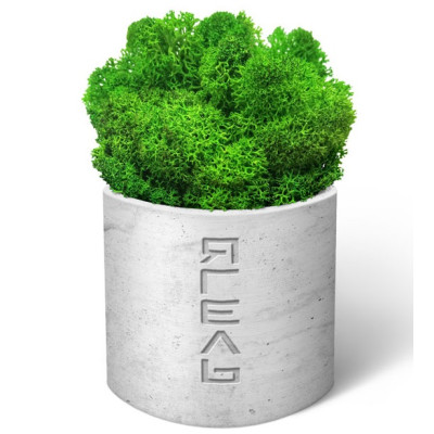 Наборы для выращивания