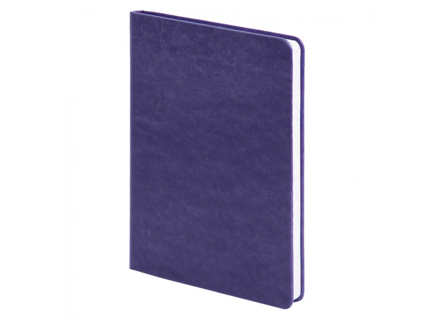 Ежедневник недатированный Duncan, А5,  фиолетовый, белый блок, Фиолетовый