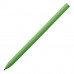 Ручка шариковая N20, Зеленый