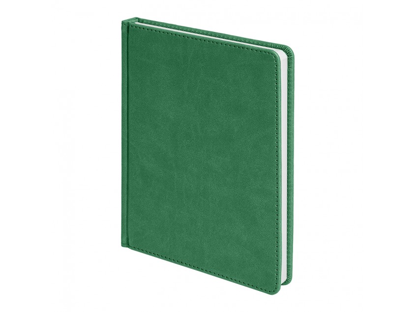 Ежедневник недатированный BLISS, формат А5, Зеленый