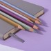 Набор цветных карандашей METALLIC, 6 цветов, бежевый