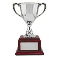 Кубок, серебристый