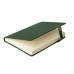 Ежедневник недатированный Linnie, формат А5, в линейку, зеленый