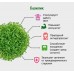 Набор для выращивания микрозелени.  БАЗИЛИК, зеленый, белый