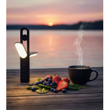 Фонарь-лампа 