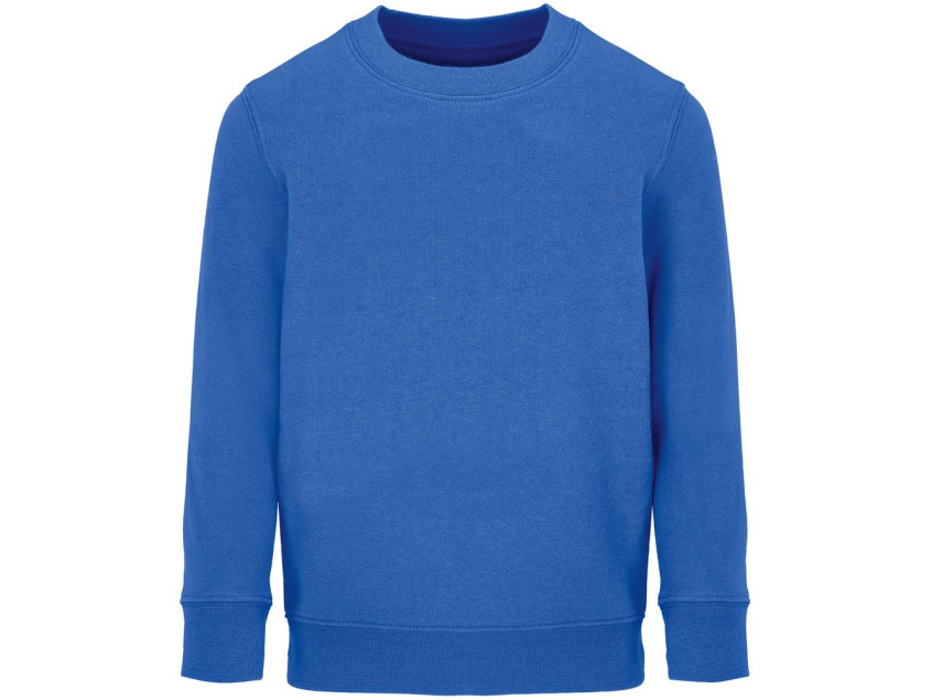 Свитшот детский Columbia Kids, ярко-синий (royal)
