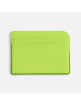 Чехол для карточек Dorset, светло-зеленый
