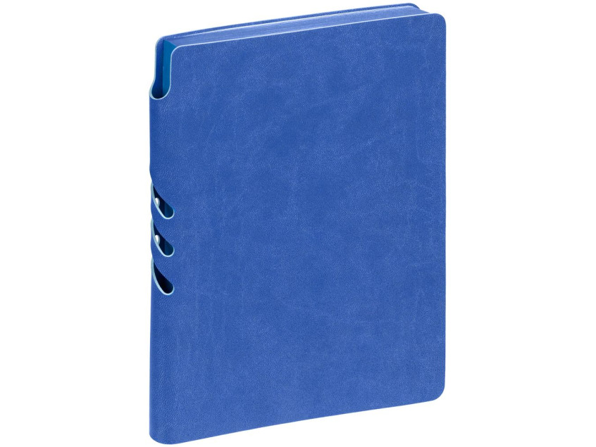 Ежедневник Flexpen Color, датированный, синий