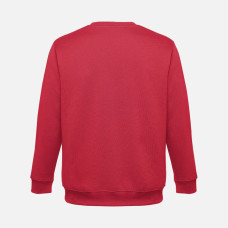 Свитшот унисекс Delta, красный