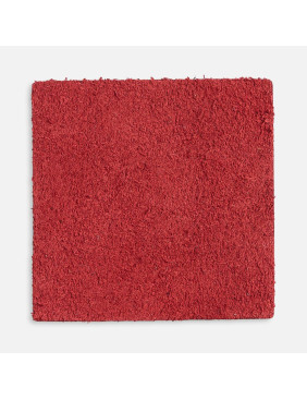 Лейбл кожаный Pasek, L, красный