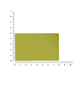 Лейбл Listra Latte, XL, светло-зеленый