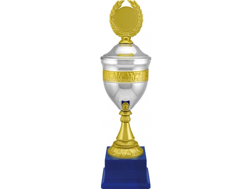 Кубок EnterPrize, серебристый