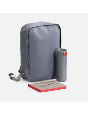 Набор Flexpen Travel, серый с красным