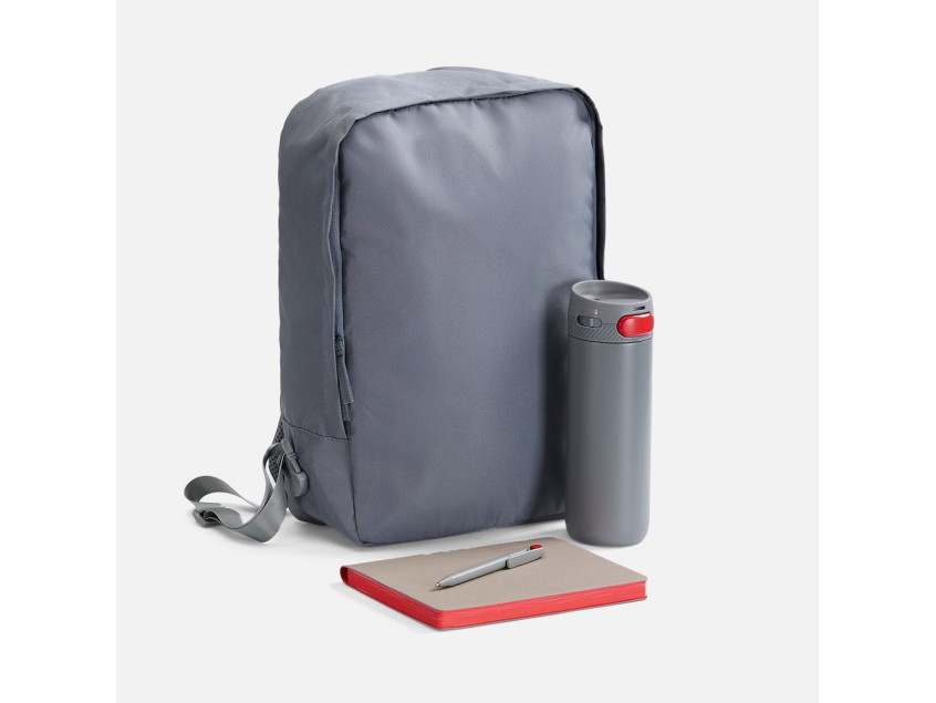 Набор Flexpen Travel, серый с красным