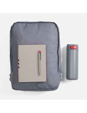 Набор Flexpen Travel, серый с красным