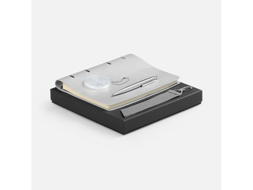 Набор Ringo, серебристый