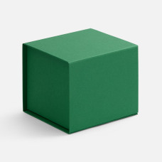 Коробка Alian, зеленая