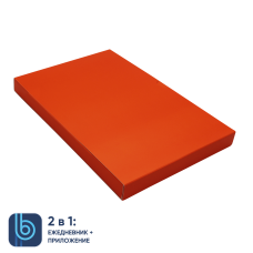 Коробка под ежедневник Bplanner (оранжевый)
