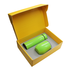 Набор Hot Box C yellow G (салатовый)
