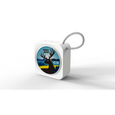 Беспроводная Bluetooth-колонка 