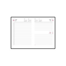 Ежедневник датированный А5 Ideal New на 2025 год