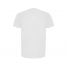 Спортивная футболка Imola мужская