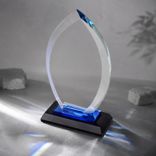 Награда Flame
