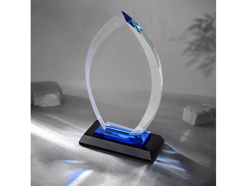 Награда Flame