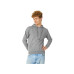 Толстовка с капюшоном Amsterdam мужская