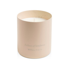 Ароматическая свеча Echoes of Kindness