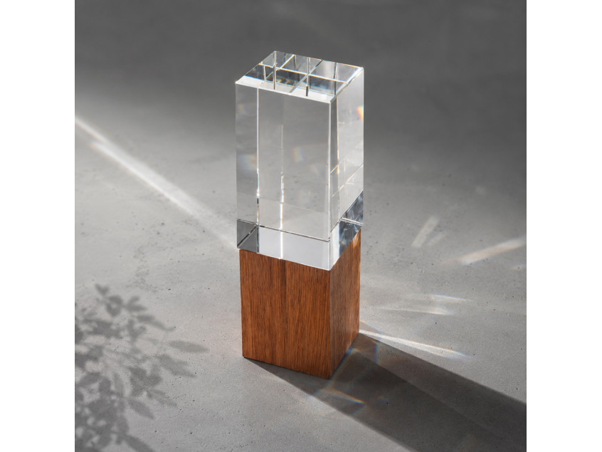 Награда Wood and glass