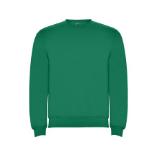 Свитшот с начесом Clasica детский