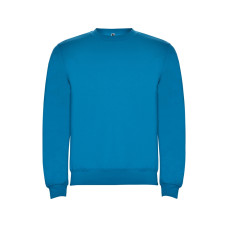 Свитшот с начесом Clasica детский