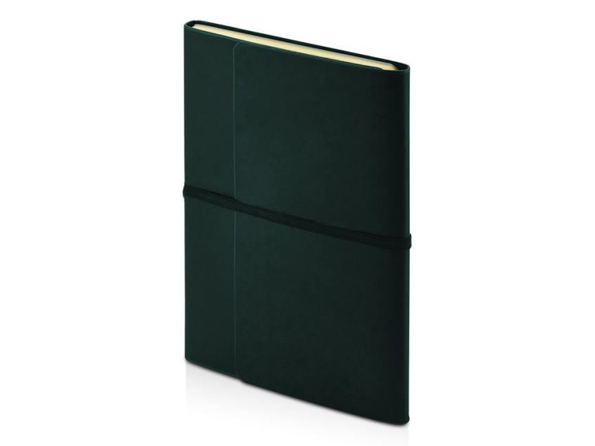 Ежедневник недатированный А5 Valencia