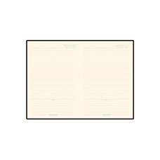 Ежедневник недатированный A5 Chelsea