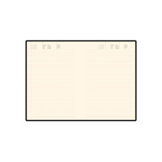 Ежедневник недатированный A5 Trend