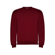 Свитшот с начесом Clasica детский