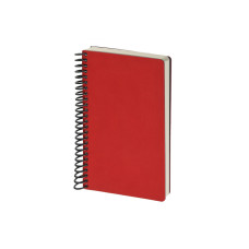 Ежедневник недатированный А5 Agenda