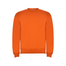 Свитшот с начесом Clasica детский