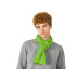 Шарф Dunant