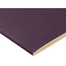 Бизнес тетрадь А5 Pragmatic