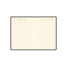 Ежедневник недатированный А5 Trend