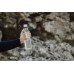 Бутылка для воды VINGA Lean из rPET RCS, 800 мл