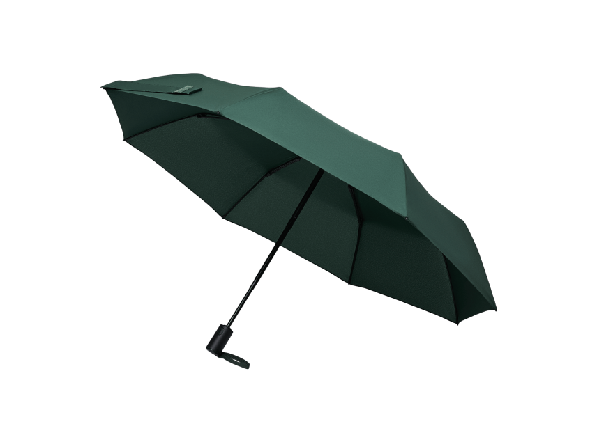 Зонт складной Passat, зеленый