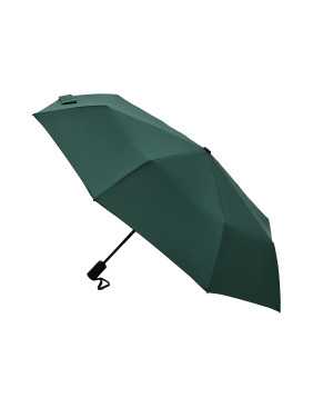 Зонт складной Passat, зеленый
