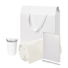 Подарочный набор Велком Пак Спарк (Welcome Pack Spark), серебряный (термокружка,ежедневник, ручка, плед, коробка-пакет)