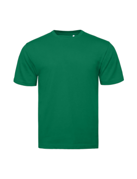 Футболка STAN, хлопок 160, 301, Зелёный