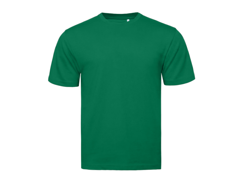 Футболка STAN, хлопок 160, 301, Зелёный