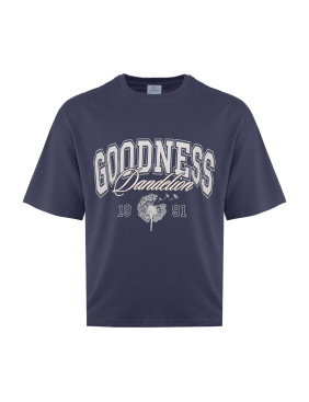 Мерч STAN, Графит